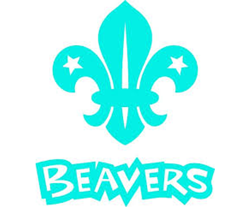 Scout Association